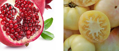 ส่วนประกอบของ ยาปลูกผม Hair Soul รักษาผมร่วง 1