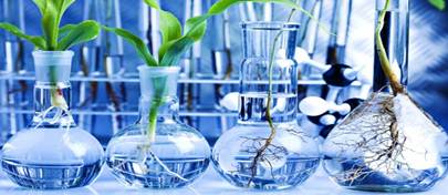 ส่วนประกอบของ ยาปลูกผม Hair Soul รักษาผมร่วง 2