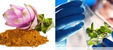 ส่วนประกอบของ ยาปลูกผม Hair Soul รักษาผมร่วง 3